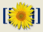 Logo de MediaWiki