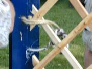 thumbs/30_mur-170_20080626_168.jpg.jpg